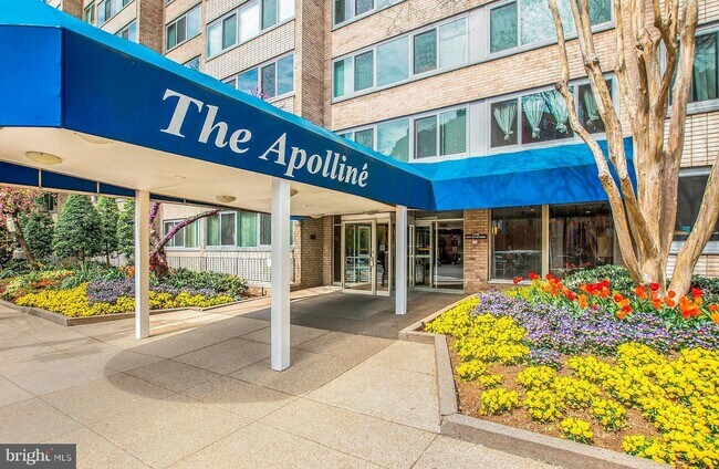 Building Photo - 1330 New Hampshire Ave NW