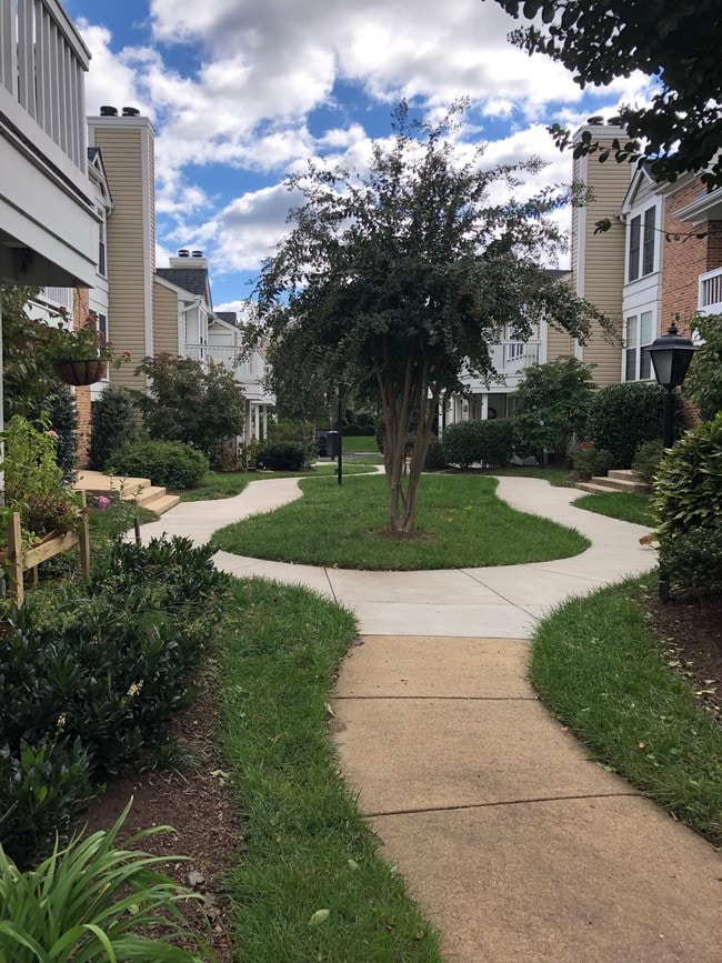 2409 S Walter Reed Dr, Arlington, VA 22206 Townhome Rentals in