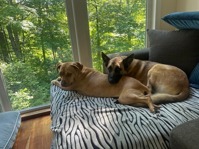 Foto del edificio - 172 Ponus Ave