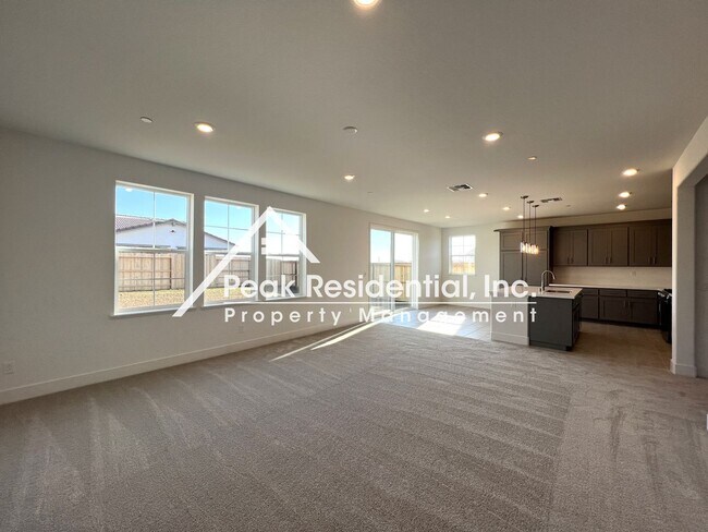 Building Photo - Beautiful Brand New Elk Grove 4bd/3ba Home...
