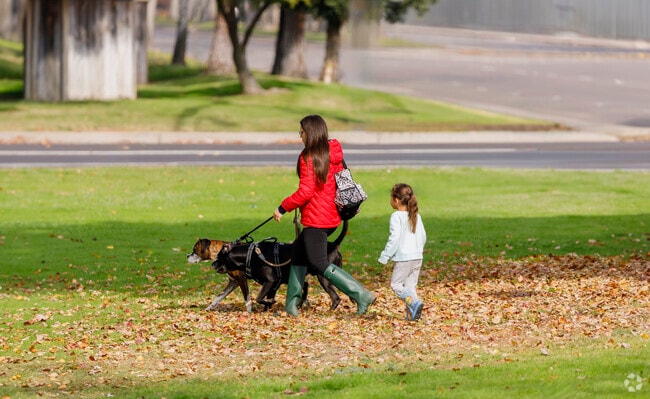 Beckman Dog Park is a great spot for pet owners.