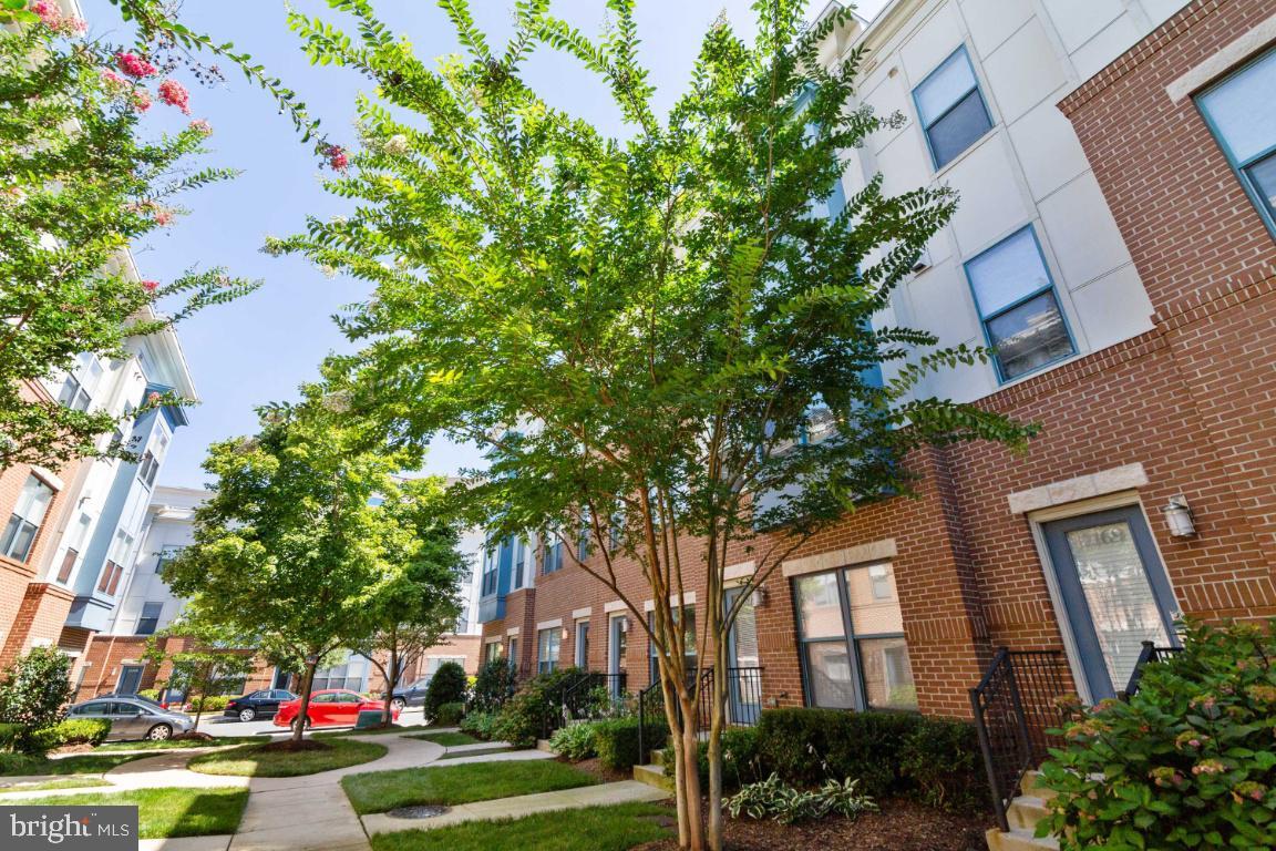 Foto principal - 12167 Waveland St