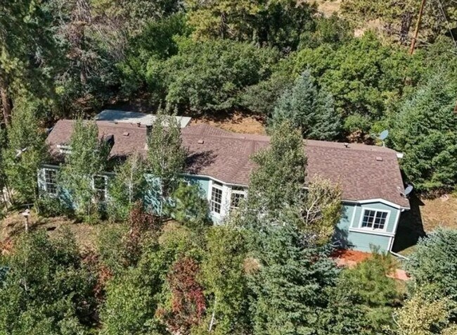 Foto del edificio - 3 Bedroom 2 bath Palmer Lake Home