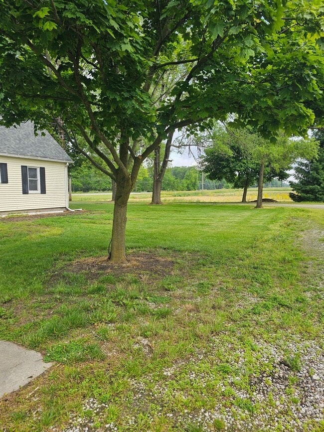 Building Photo - Country Living