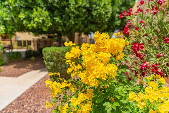 Beautiful landscape! - Sun Wood Senior Apartments