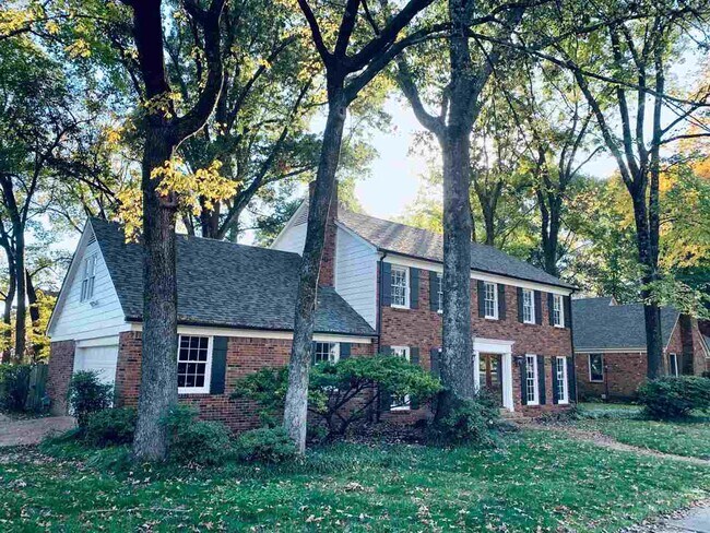 Foto del edificio - 8105 Savannah Way