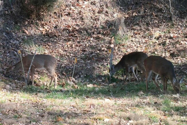 Foto del edificio - 121 Sawmill Springs Rd