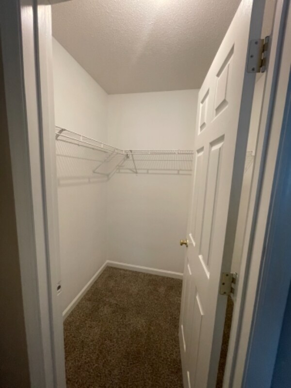Building Photo - 317 Caswell St