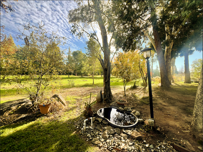 Foto del edificio - Charming Ranch Style Home on Expansive 2.6...