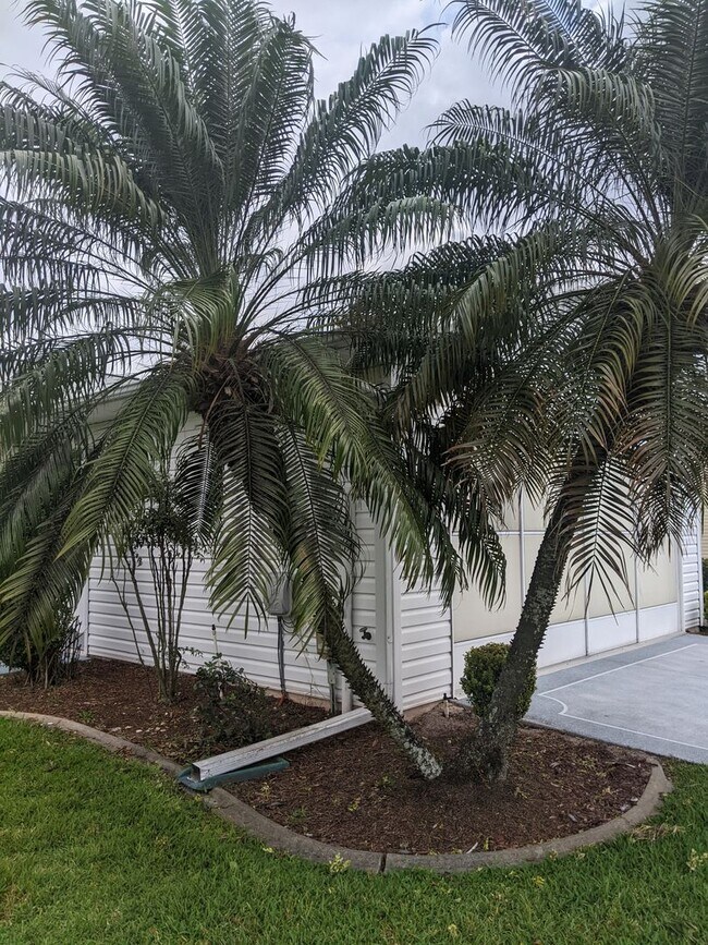 Building Photo - Location, Location, Location in 55+ Commun...