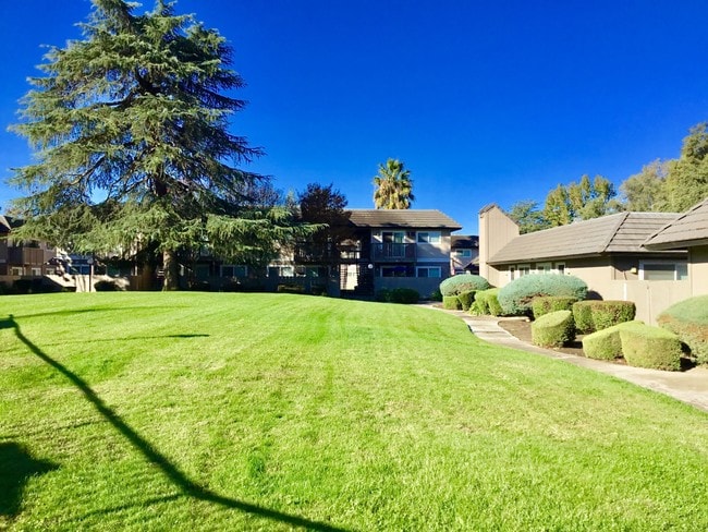 Beautiful Open Grounds - WESTWOOD VILLAGE
