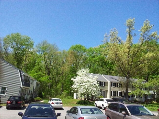 court yard - 22 Redbud Ln