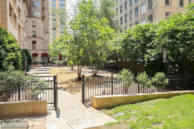 Courtyard w/Grills & Dog Park - 888 N Quincy St