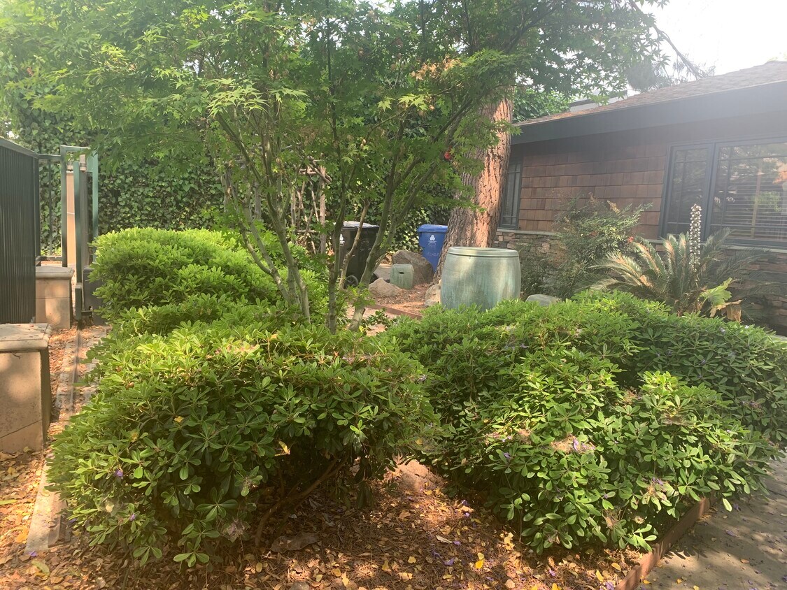 The Front Yard of the front house - 14715 Greenleaf St