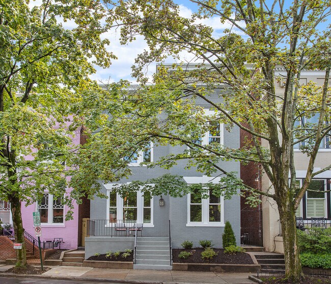 1605 Park Ave, Richmond, VA 23220 House Rental in Richmond, VA