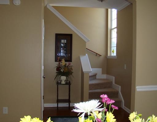 Building Photo - 113 Sunrise Ln
