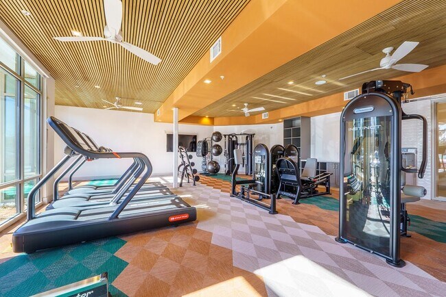 Gimnasio - Presidium Casa Siena
