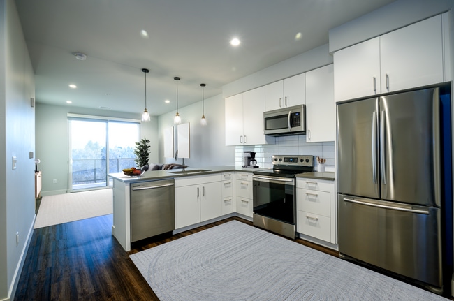 Interior Photo - Black Olive