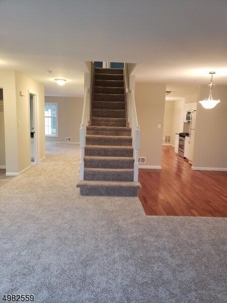 Foto del edificio - 37 Hillsborough Ct