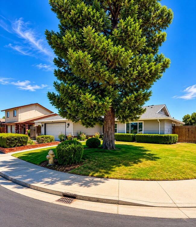 Foto del edificio - 708 Meadow Way