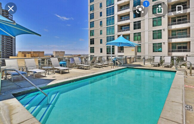 The pool and communal BBQs - 425 W Beech St