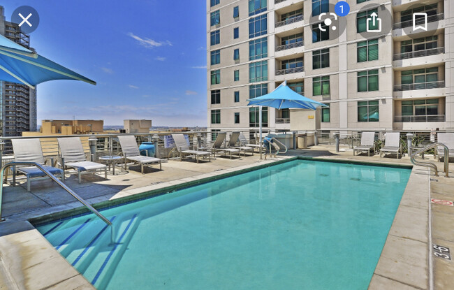 The pool and communal BBQs - 425 W Beech St