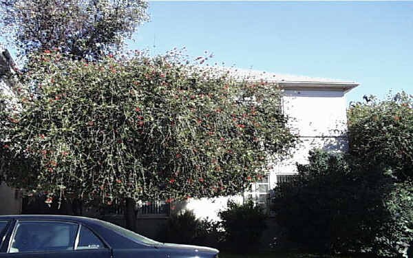 Foto del edificio - 1311-1315 23rd St