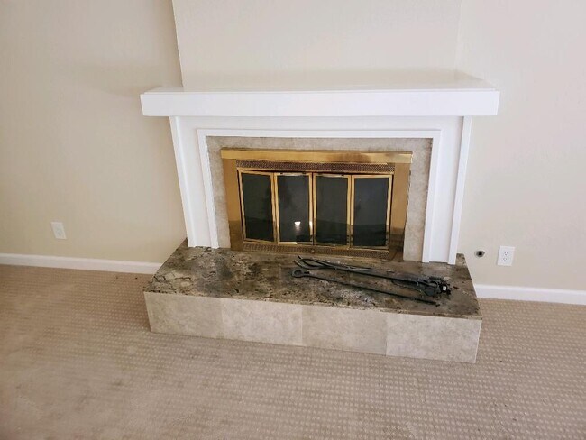 Fireplace - 117 Fancher Ct