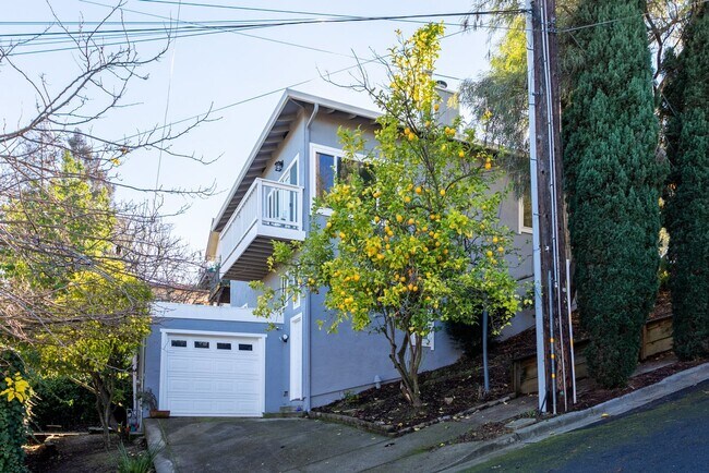Building Photo - Beautiful Home In Martinez Hills