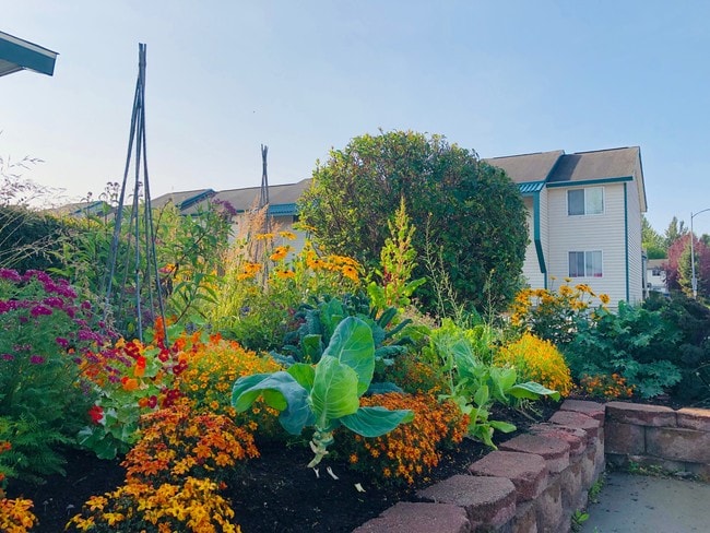 Community Garden - Chester Park Estates