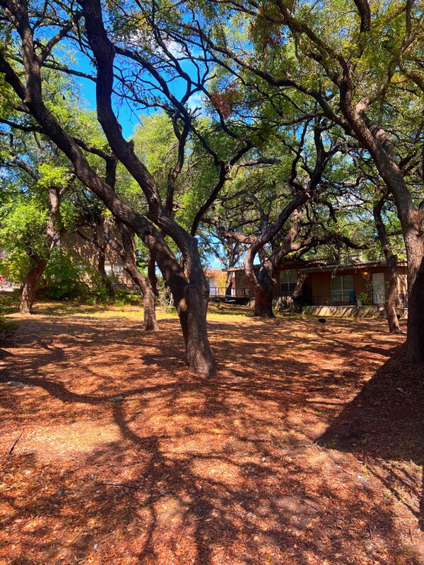 401 Buchanan Dr, TX 78611 Room for Rent in TX