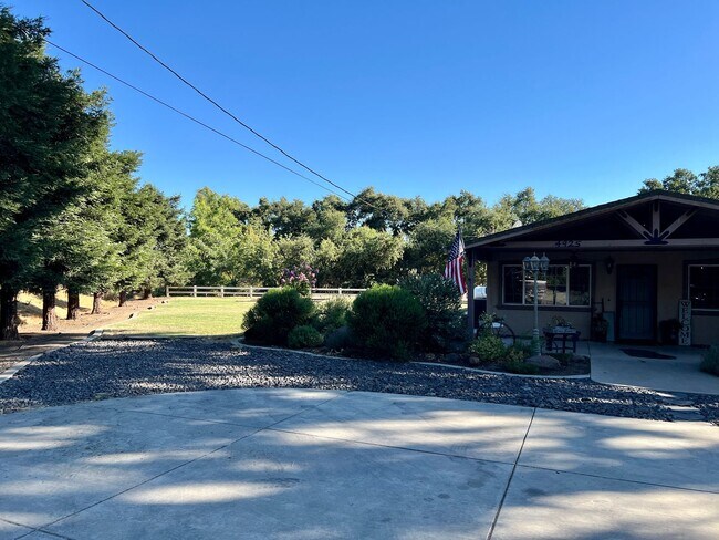 Foto del edificio - Well maintained single story on over half an acre lot!