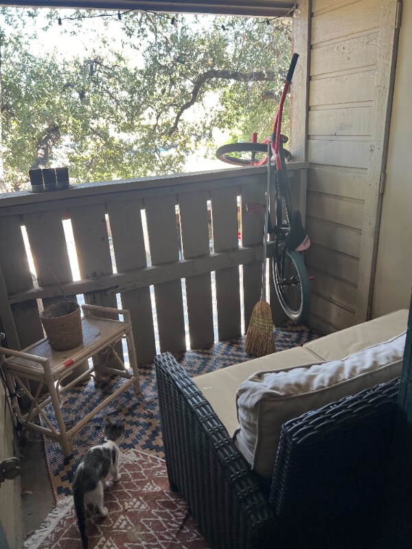 Foto del edificio - 9254 Forest Ln