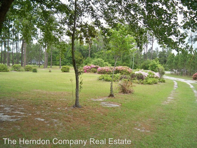 Foto del edificio - 3 br, 2 bath House - 2988 New Statenville Hwy