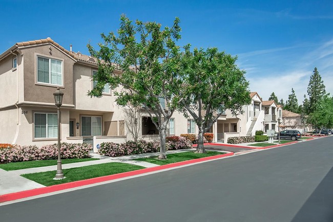 Foto del edificio - Arbor Lane Apartment Homes