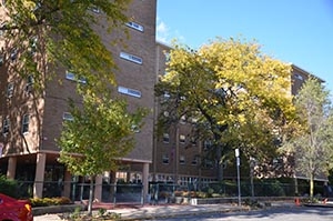 Primary Photo - Holgate