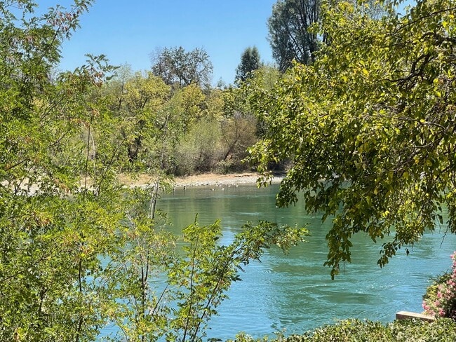Building Photo - Sacramento Riverfront Home with Pool