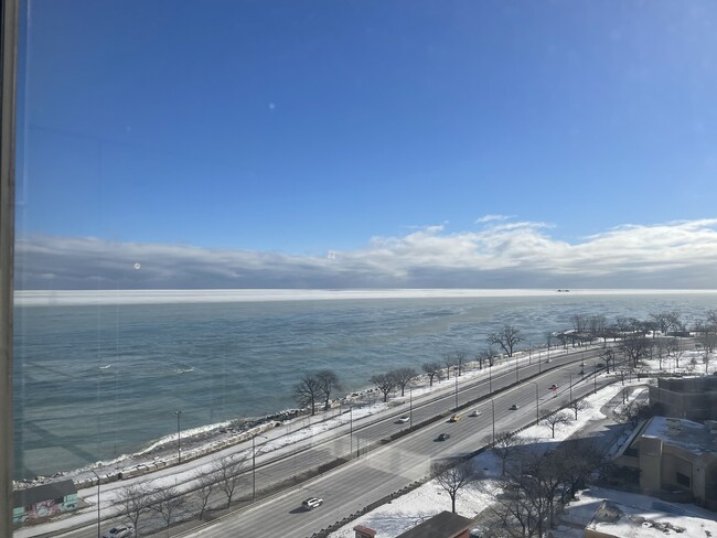 Building Photo - 4800 S Chicago Beach Dr