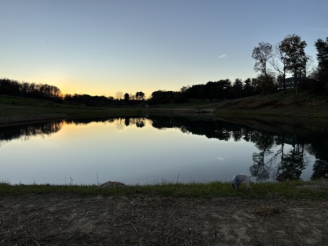 3 acer pond with boating - 6415 Green Valley Rd