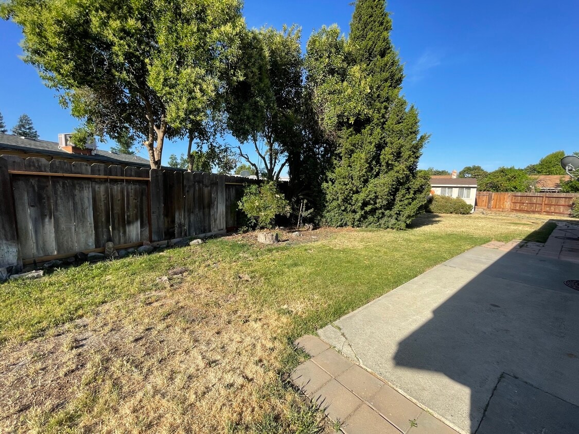Rear yard 2 - 2980 Blackburn Ct