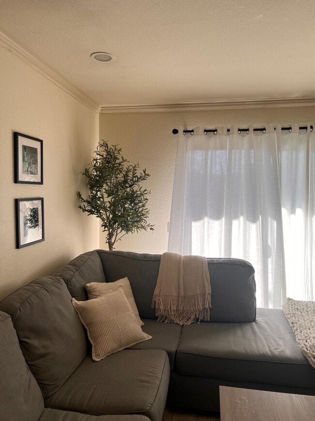 This is a 2nd floor condo, so the balcony siding door is open - 8201 Camino Colegio