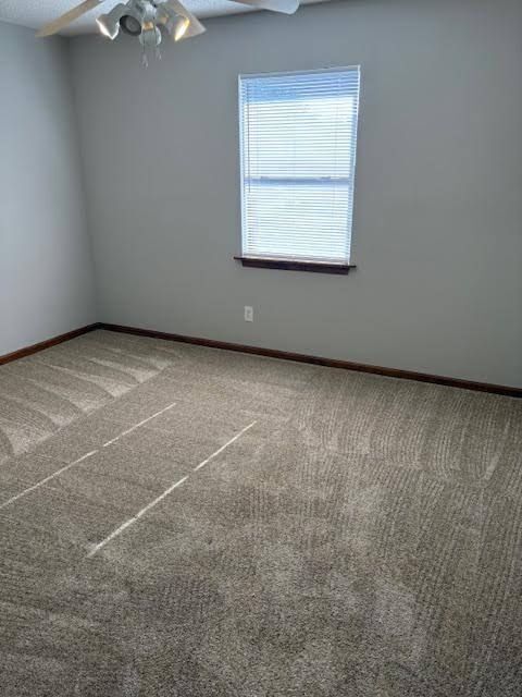 Building Photo - 203 Windham Rd