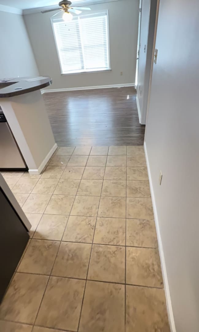 Foto del edificio - January 2026 (18-month lease) or FALL 2026 (12-month lease) $3,300/month for ENTIRE UNIT! Great l...