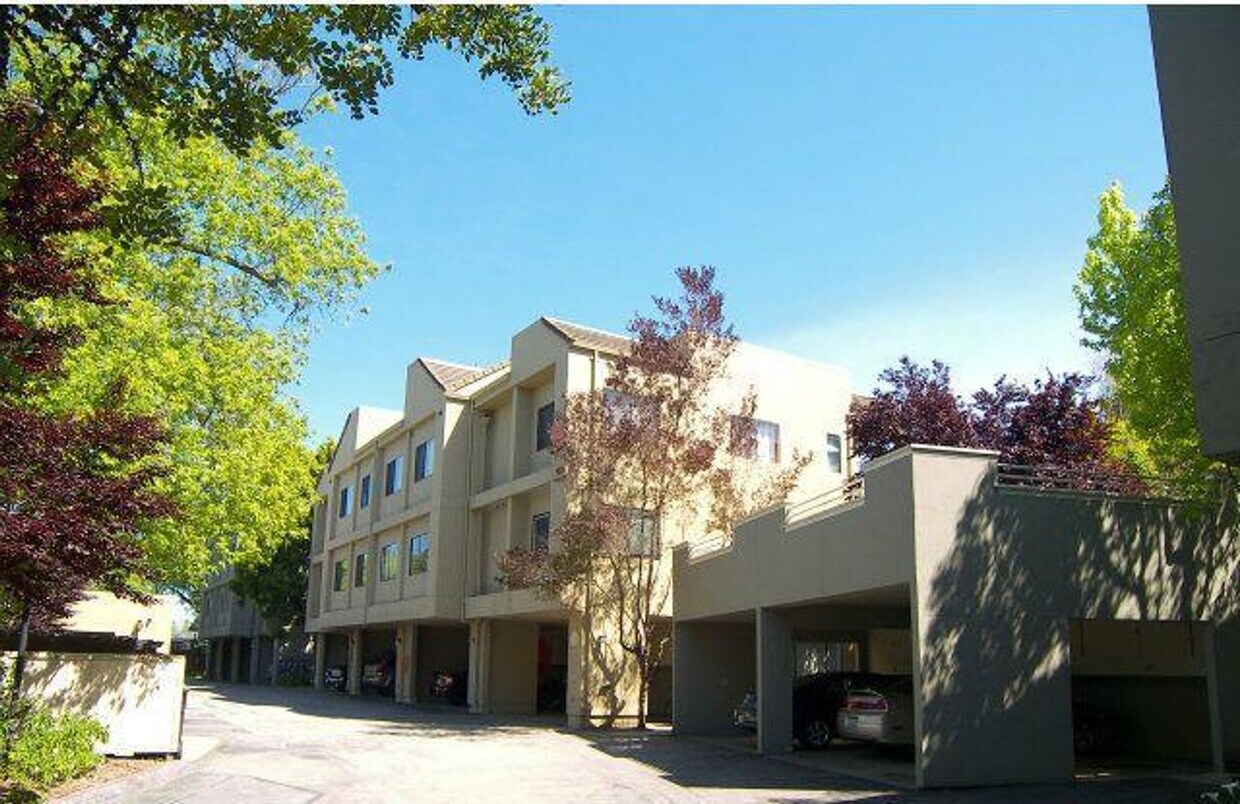 Foto principal - 2Br/1Ba Cute Condo Close to Downtown and H...