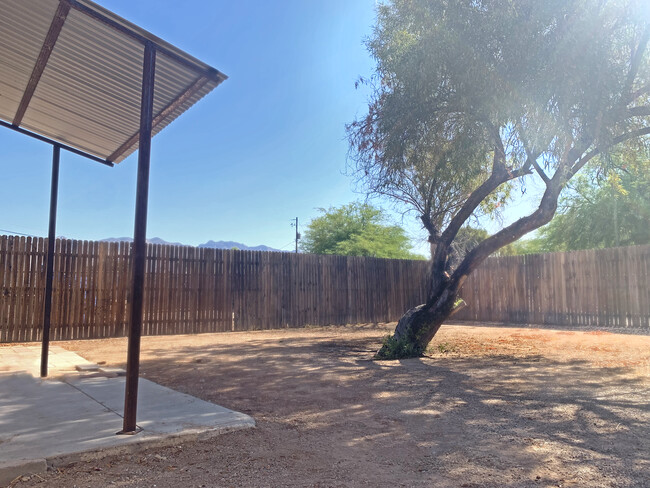 Backyard - 2814 N Palo Verde Ave