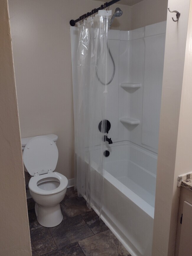 204 E Callender St Unit Basement, Livingston, MT 59047 Condo for Rent