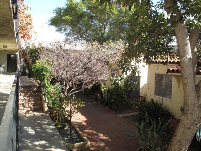 Central patio - 1423 Euclid St
