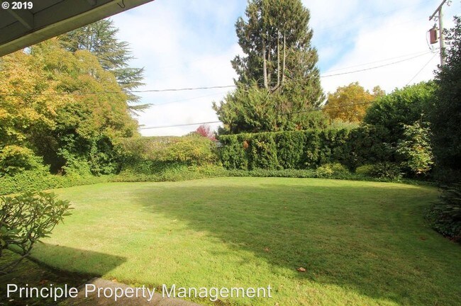 Building Photo - 4 br, 2.5 bath House - 273 Palomino Drive
