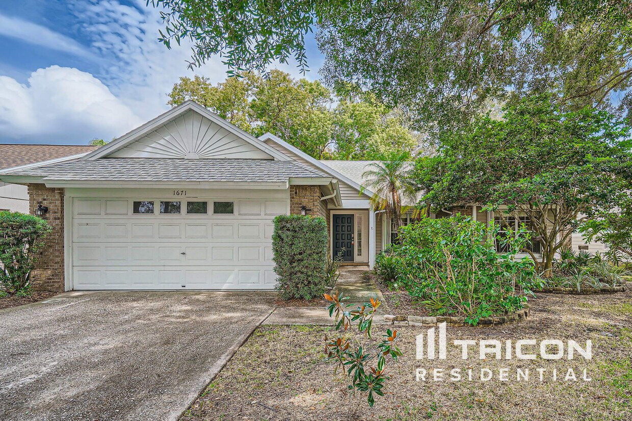 1671 Autumnwood St, Tarpon Springs, FL 34689 | Apartments.com