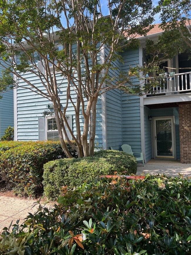 Building Photo - 3218 Selwyn Farms Ln